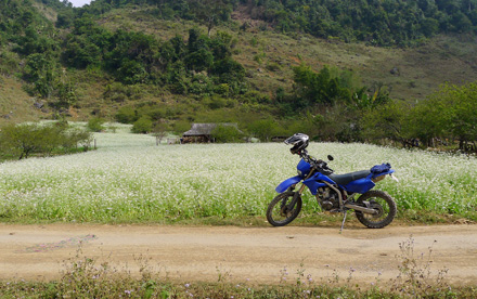 moc chau